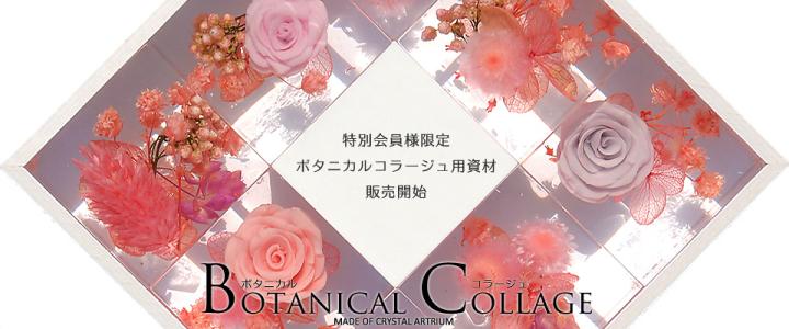 ハーバリウムオイル実績No,1通販サイト｜資材専門店ハルコレ