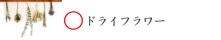 ドライフラワーは使えます